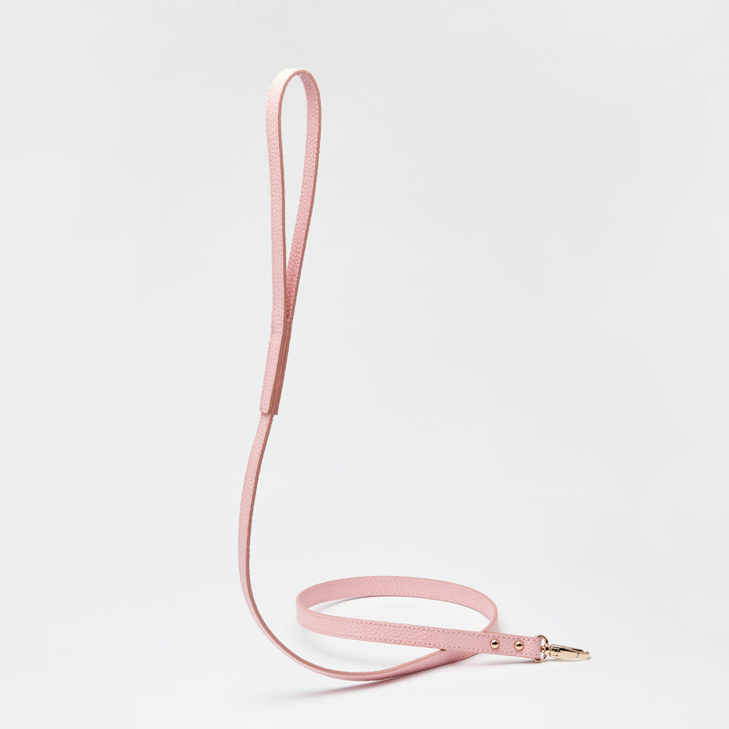 Leather Lead