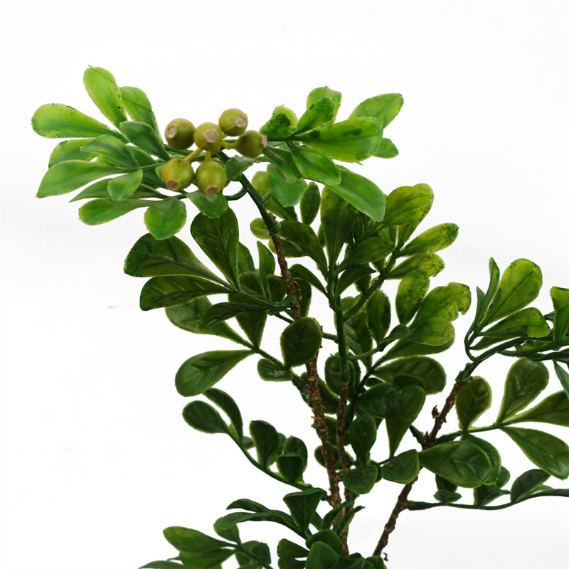 45cm Artificial Aglaia Odorata Bonsai Ficus Tree