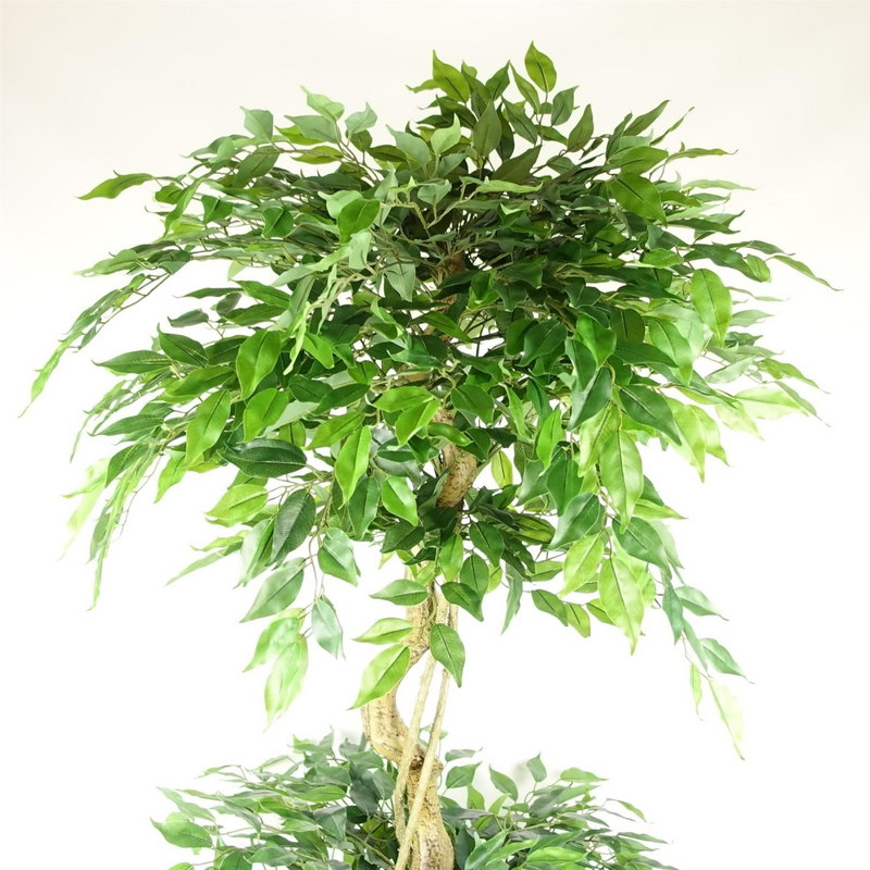 180cm Artificial Twisted Trunk Fruticosa Ficus Tree Triple Ball Topiary 1984 Leaves Gold Metal Planter