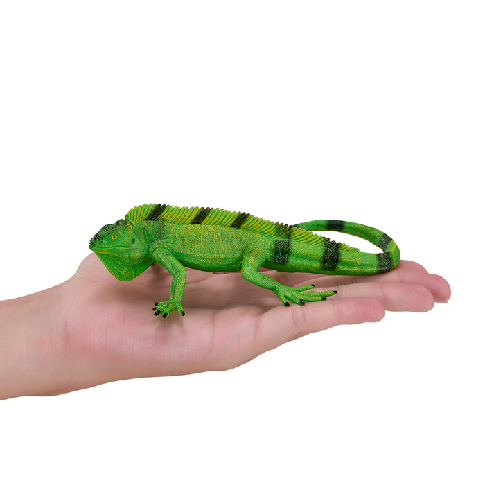 Iguana Toy Realistic Reptile Figurine