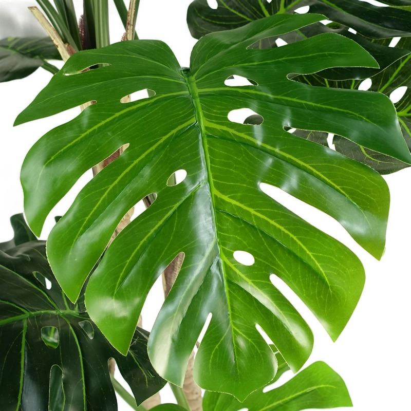 150cm (5ft) Luxury Monstera Plant Black Pot Copper Metal Planter