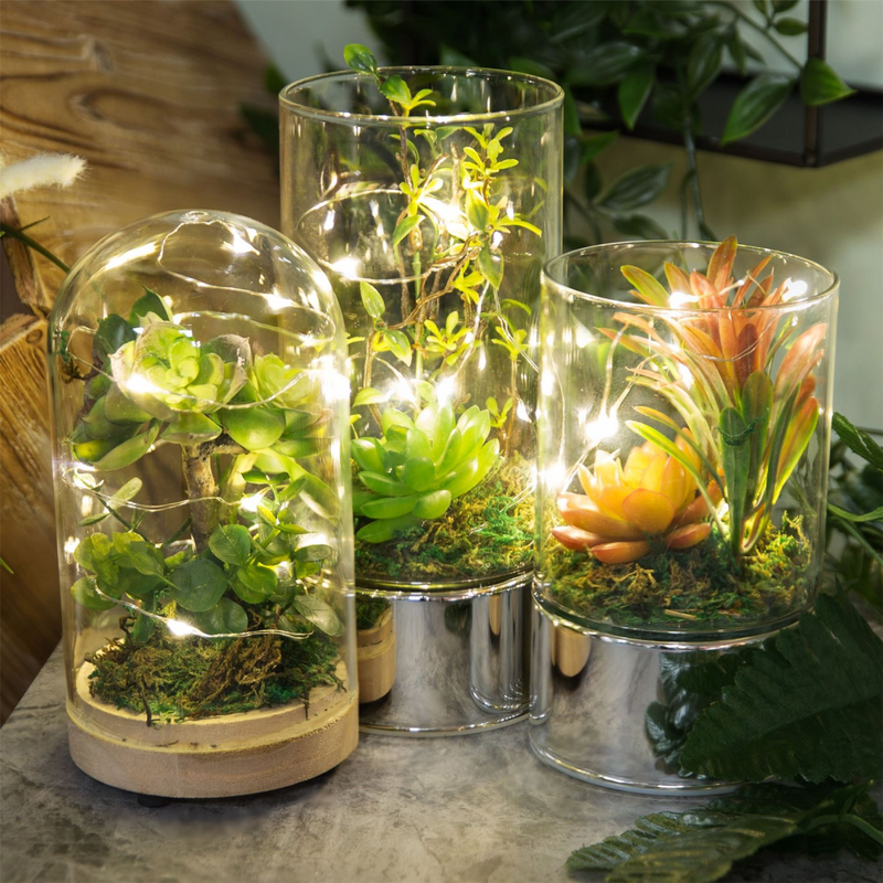 Glass Tube Terrarium w/ Artificial Succulents and LEDs 20cm