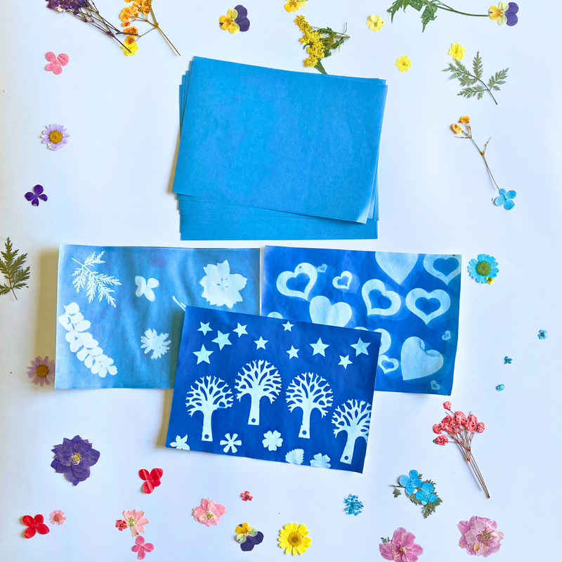 Curious Minds Sun Print Paper Kit, 10 Sheet Pack of Cyanotype Paper, 18x13 cm Sheets