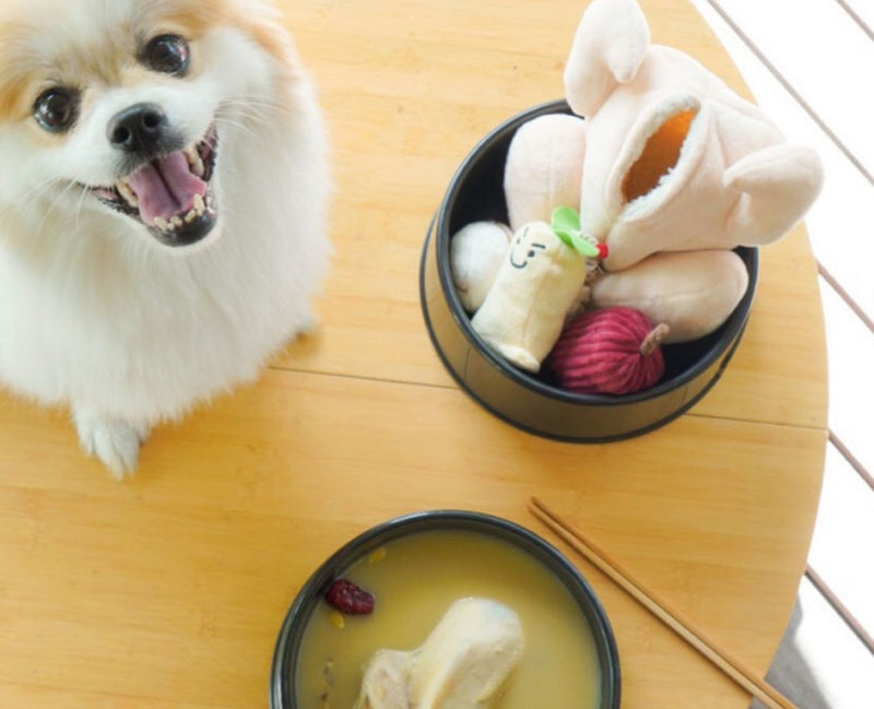 Dogs Leaking Food, Hiding Food, Smelling Toys