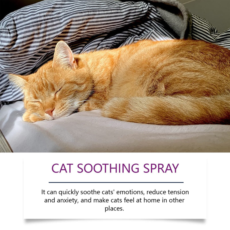 Cat Mood Spray To Prevent Scratching