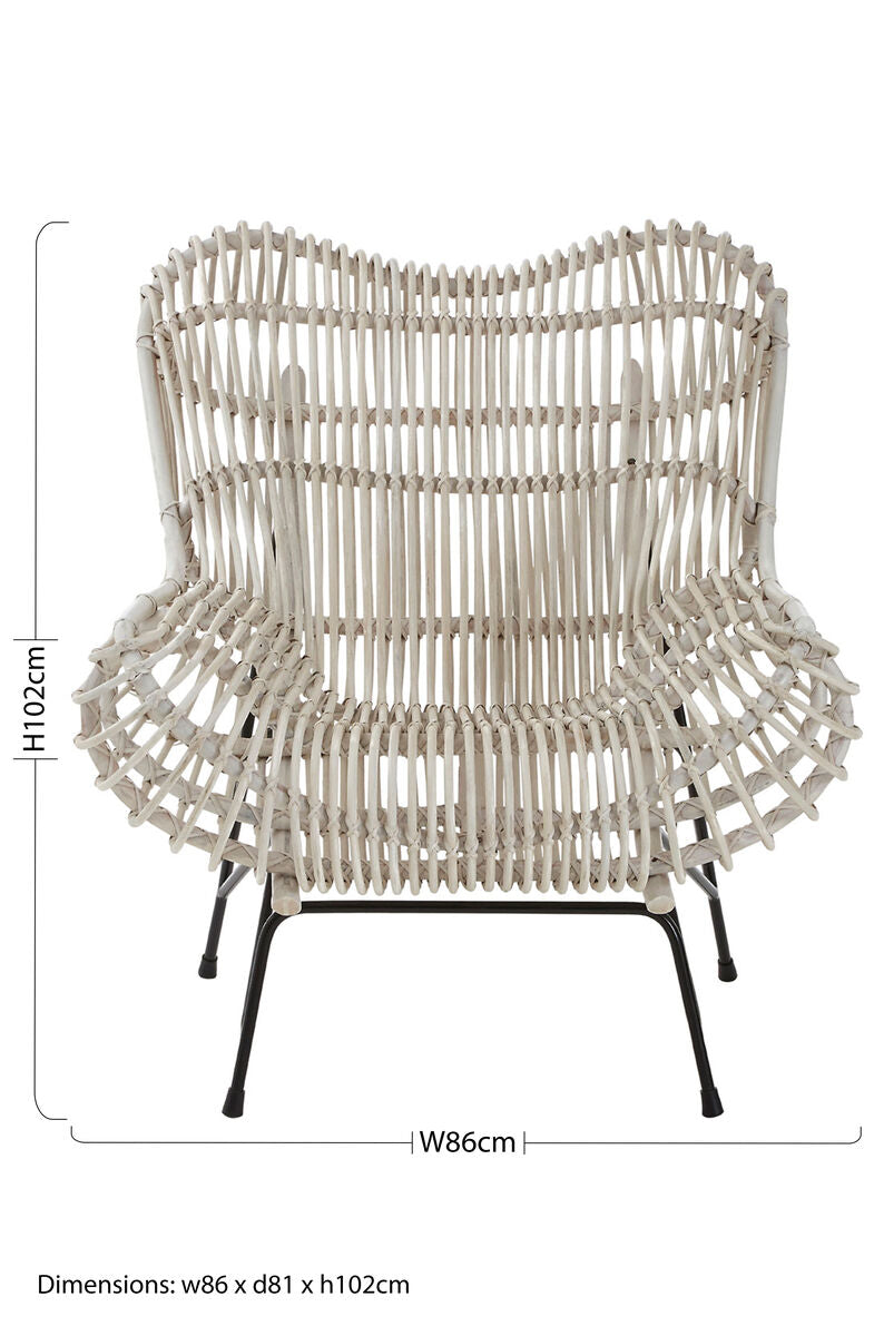 White Washed Rattan Curved Chair | Java