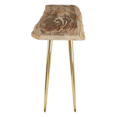 Natural and Rustic Petrified Wood Console Table Slim Brass Finish Iron Legs | Relic