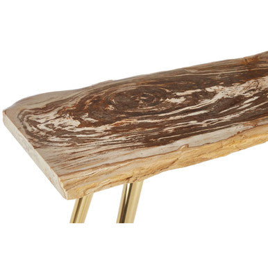Natural and Rustic Petrified Wood Console Table Slim Brass Finish Iron Legs | Relic