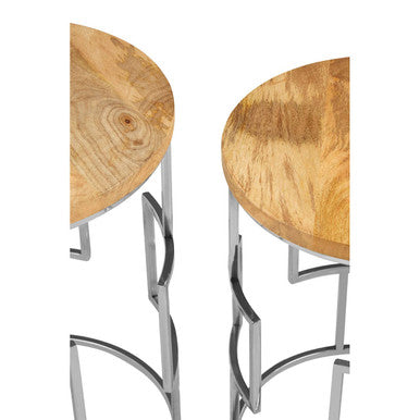 Set of 2 Natural Mango Wood Nesting Tables with Reflective Stainless Steel Base | Agra