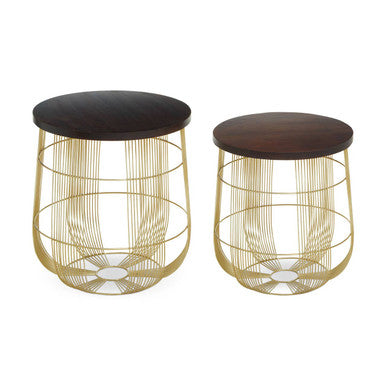 Set of 2 Brown Mango Wood Side Tables with Gold Finish Metal Base | Agra