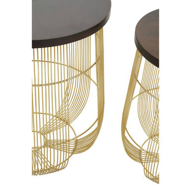 Set of 2 Brown Mango Wood Side Tables with Gold Finish Metal Base | Agra