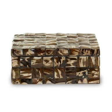 Large Natural Shell Detail Box | Branna