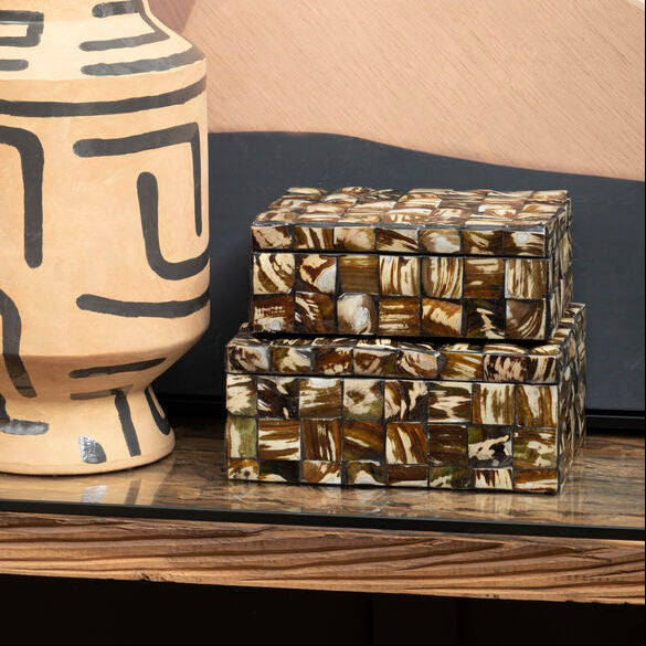 Large Natural Shell Detail Box | Branna