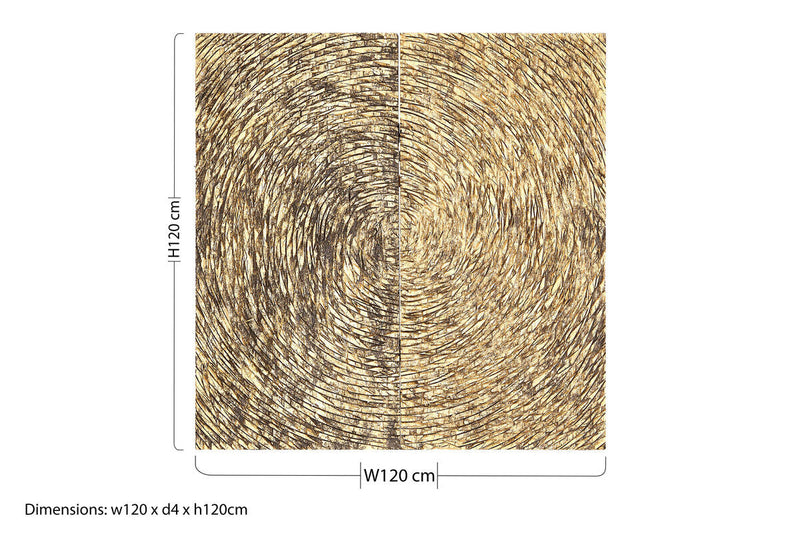 Wood Carving Gold Finish Wall Art | Modello