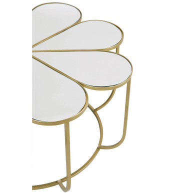 Silver and Gold Iron Frame Coffee Table with Petal Design Mirrored Top | Rabia