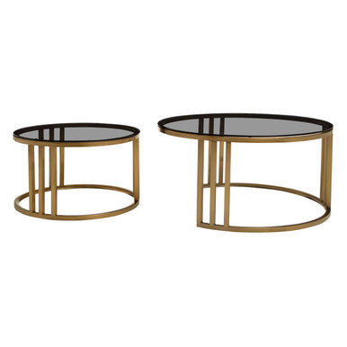Set of 2 Tinted Glass Round Tops Nesting Coffee Tables with Brushed Gold Stainless Steel Frames | Alana