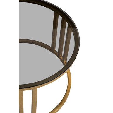 Set of 2 Tinted Glass Round Tops Nesting Coffee Tables with Brushed Gold Stainless Steel Frames | Alana
