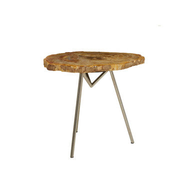 Natural Large Rustic Petrified Wood Top Side Table with Silver Finish Metal Frame | Relic
