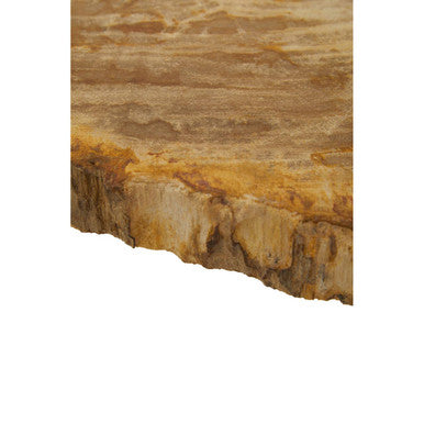 Natural Large Rustic Petrified Wood Top Side Table with Silver Finish Metal Frame | Relic