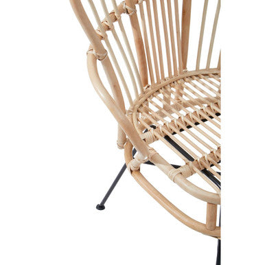 Natural Rattan and Black Metal Back Chair | Java