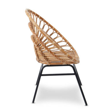 Natural Rattan Flared Back Chair | Java