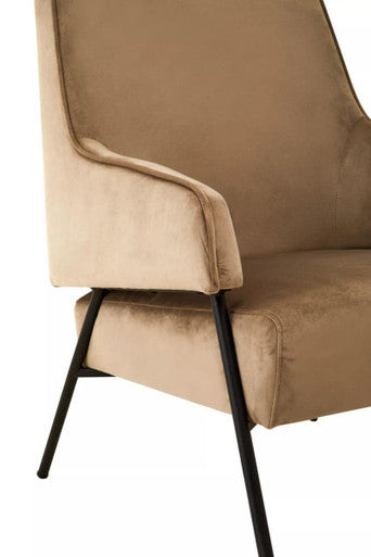 Mink Velvet Chair | Henia