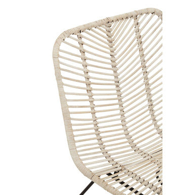 Natural Rattan Black Metal Chair | Java