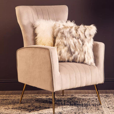 Mink Velvet Accent Chair With Gold Finish Legs | Zamora