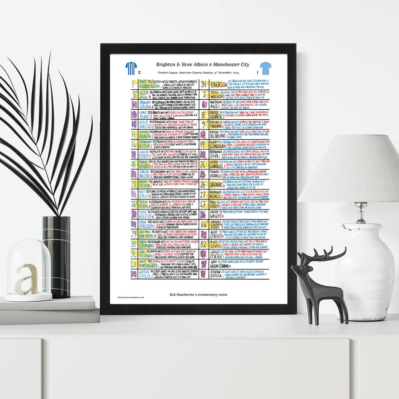 Brighton v Manchester City, Premier League 2024 - Hawthorne
