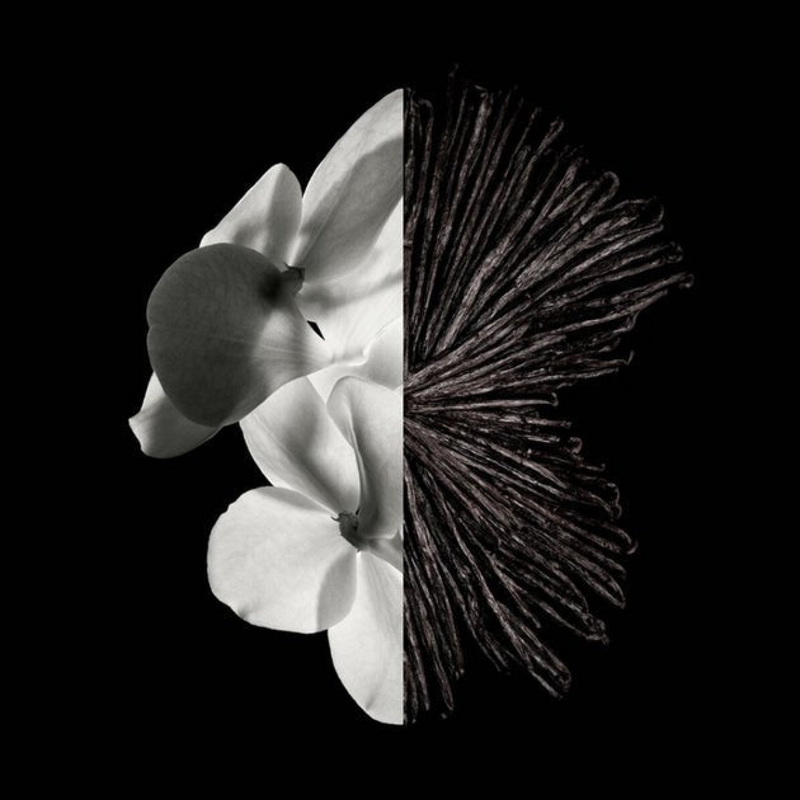 Givenchy Gentleman Eau De Parfum Spray 60ml