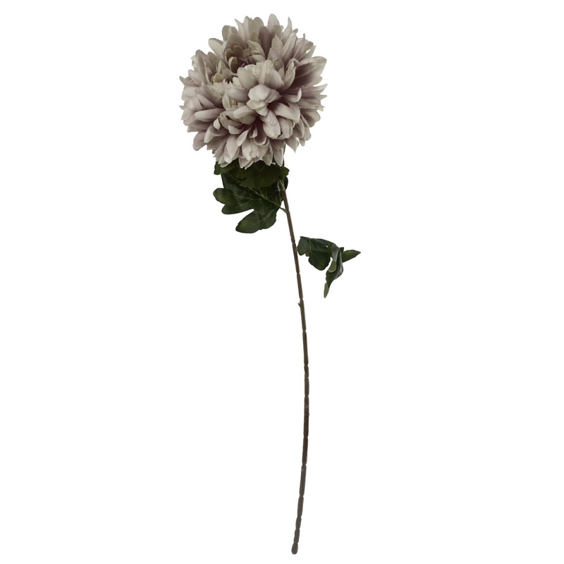 Pack of 6 x 75cm Extra Large Reflex Chrysanthemum - Mushroom