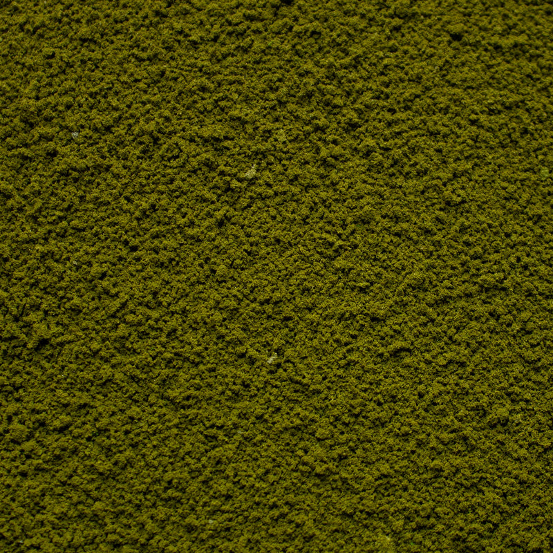Coarse Flock - Forest Lake