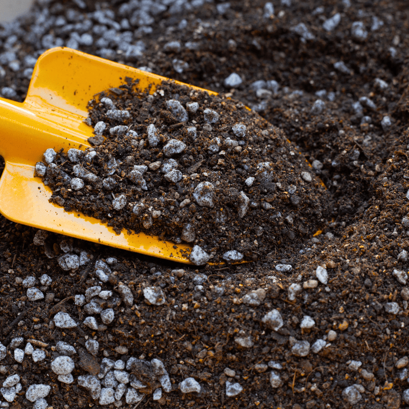 RootMax Tree Planting Soil - Deep Growth Support