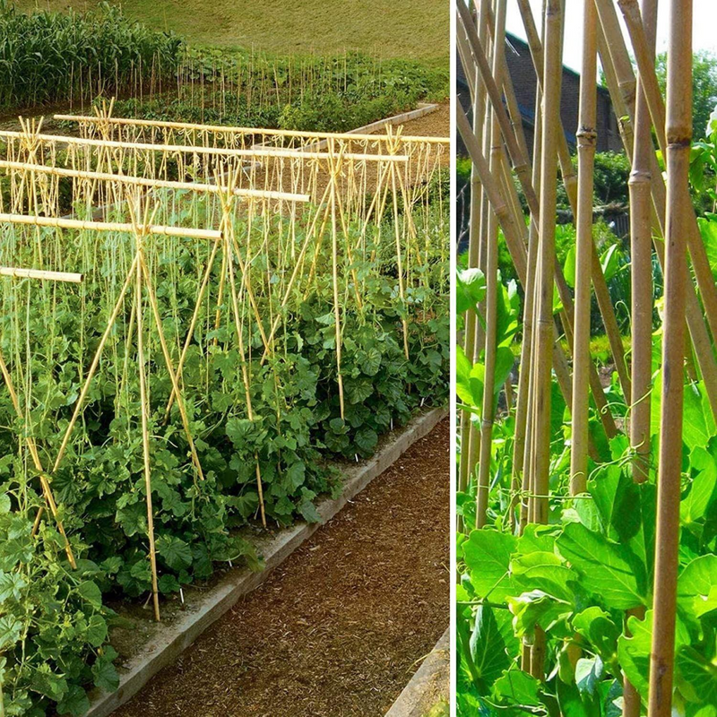 10 x 4FT Bamboo Canes Sticks 120cm