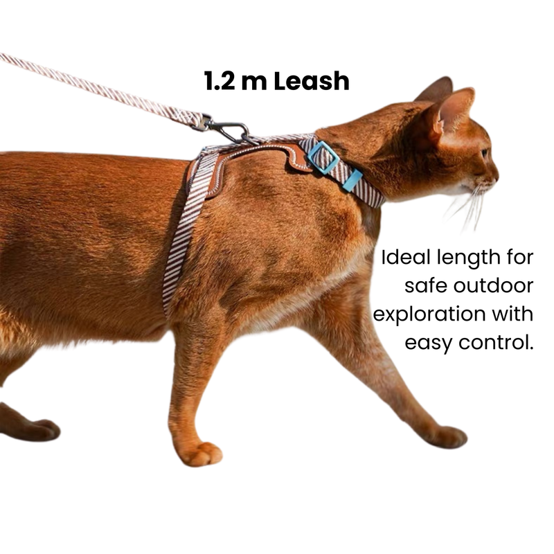 zeze Pet Leash & Harness Set