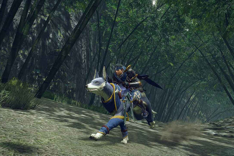 Nintendo Switch Monster Hunter Rise Game