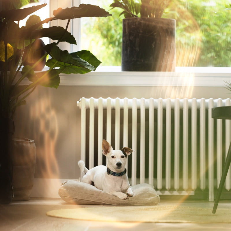 speedcomfort extension set + hooks