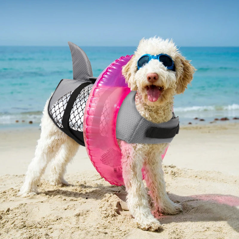 Life Jacket Swimming Clothes Corgi Golden Fur Chai Dog