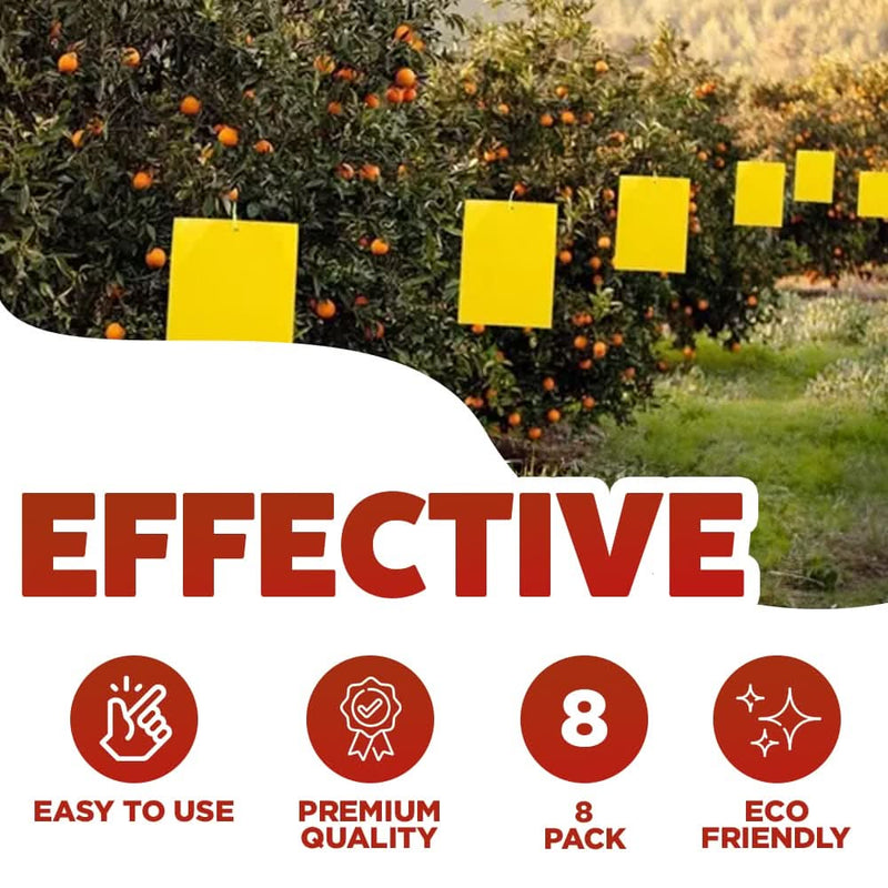 Large Sticky Paper Pest Control Insect Glue Traps 8 Pack