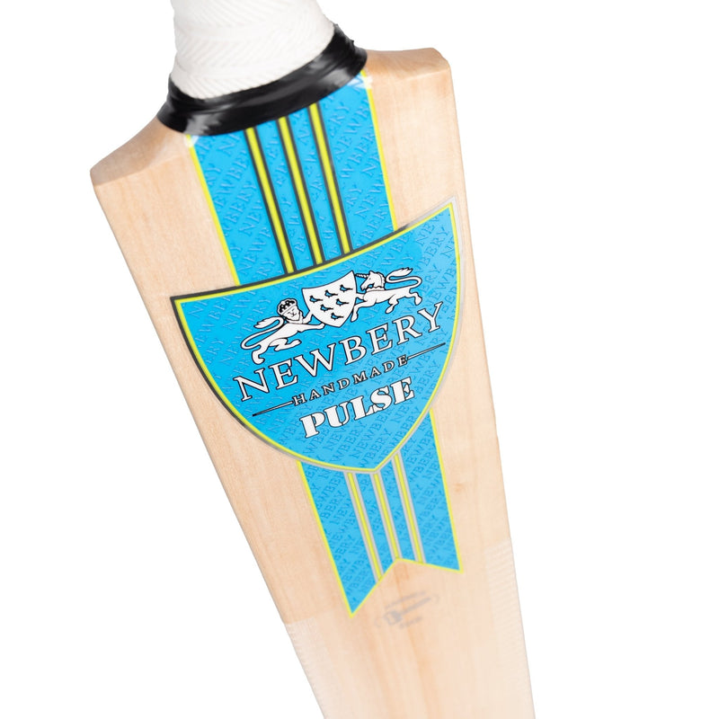 Newbery Pulse Kashmir Willow Cricket Bat