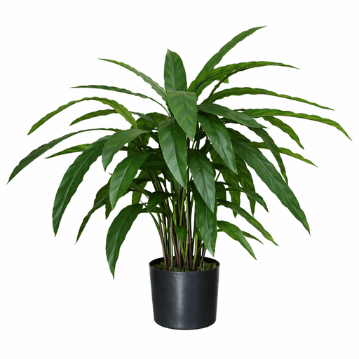60cm Artificial Calathea Evergreen Plant - InStock