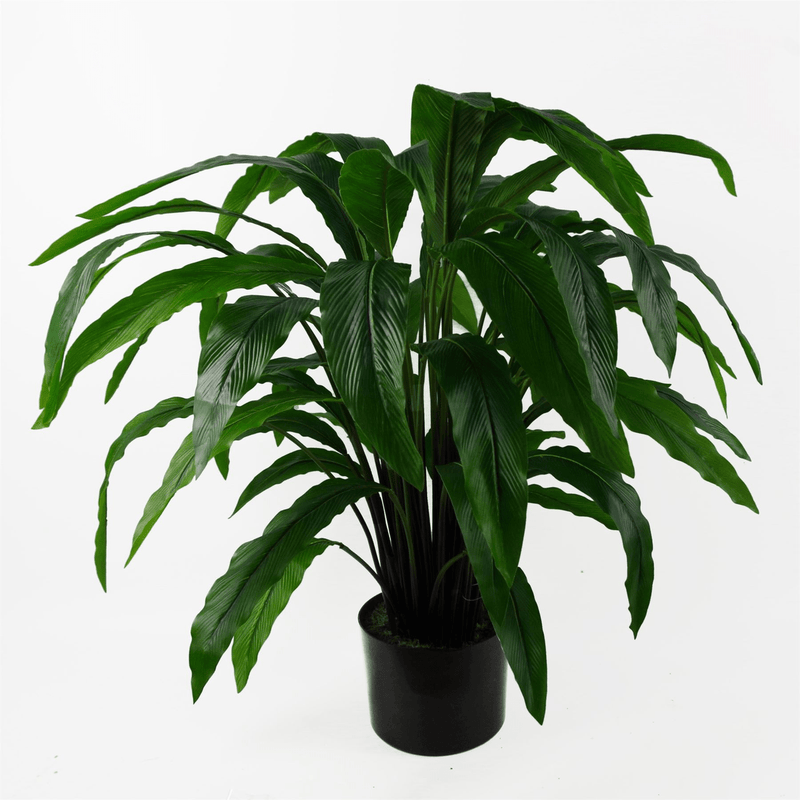 60cm Artificial Calathea Plant - InStock
