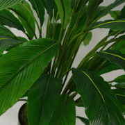 60cm Artificial Calathea Plant - InStock