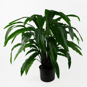 60cm Artificial Calathea Plant - InStock