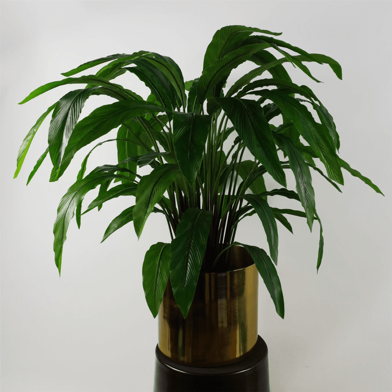 60cm Artificial Calathea Plant - InStock