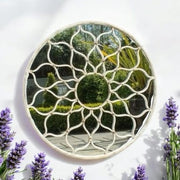 60CM ROUND WALL MIRROR - InStock