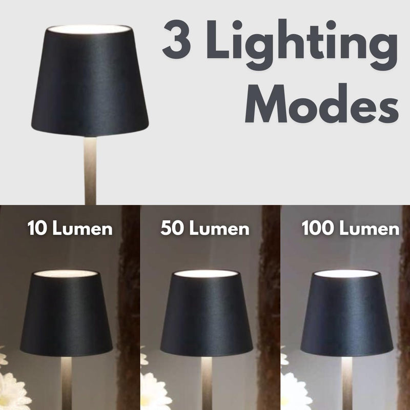 Onyx USB Rechargeable Table Lamp