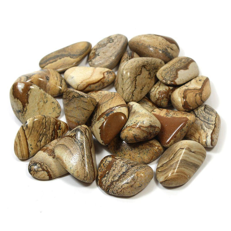 Landscape Jasper Polished Collectible Precious Stone