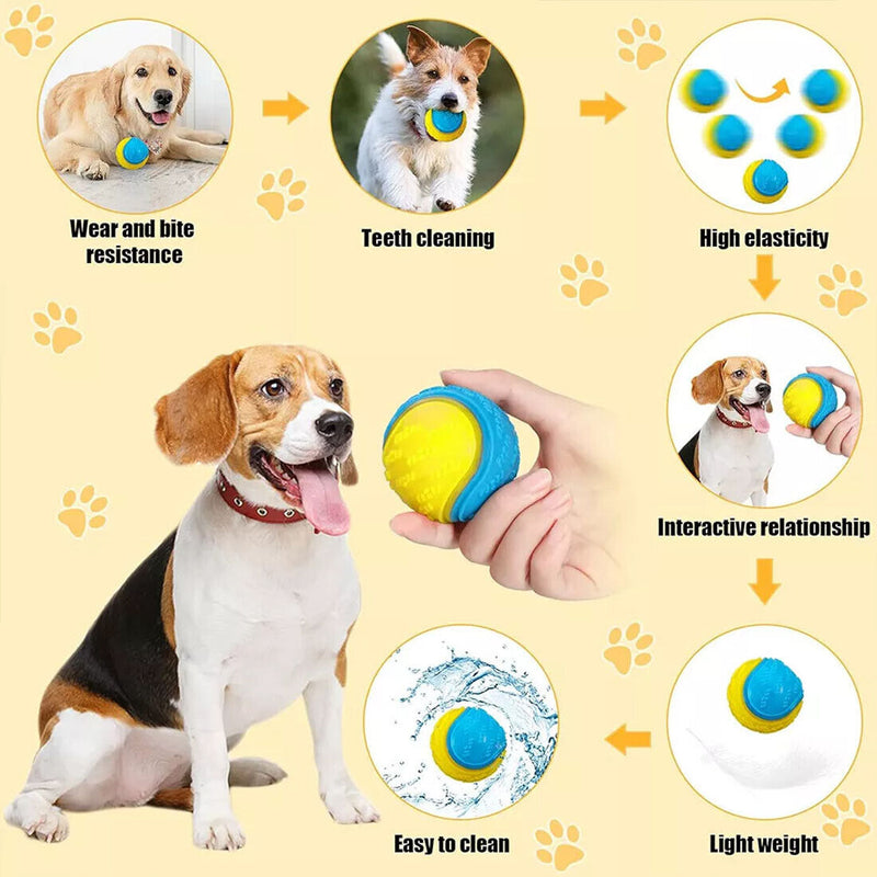 Scooby-Doo Durable Squeaky set of 8 Dog Balls for teeth Cleaning Interactive UK new