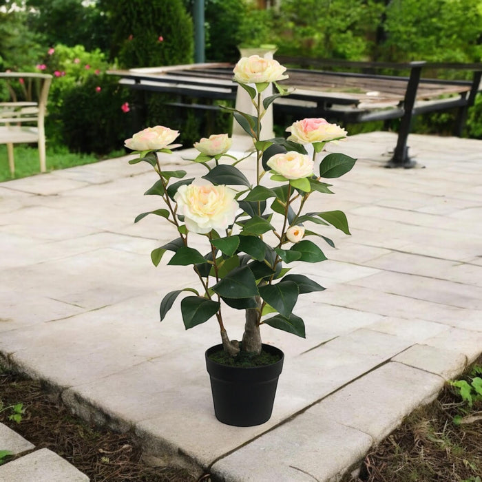 58CM ARTIFICIAL CAMELLIA PLANT